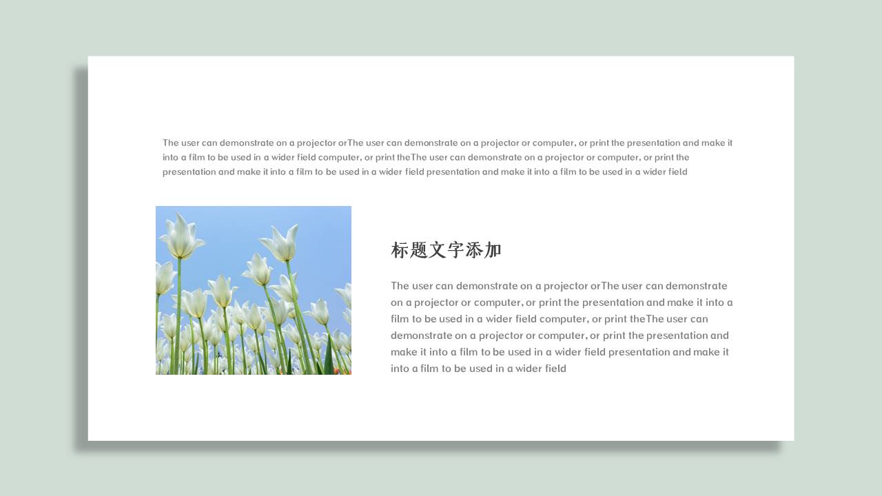 高级简约 (23).pptx